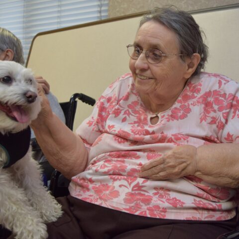 Elderly resident enjoying a visit from a dog, during the Healing Power of Pets event