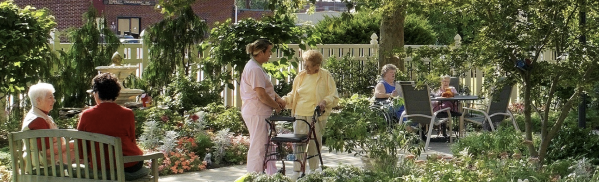 A summer day in the garden.